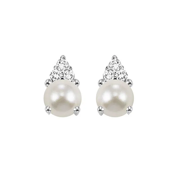 10KT White Gold & Diamond Studded Fashion Earrings   - 1/10 ctw