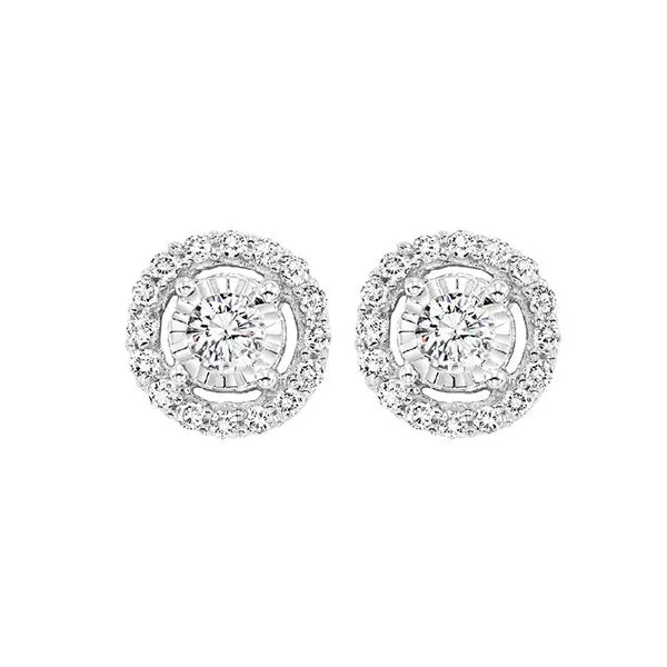 14KT White Gold & Diamond Fashion Earrings -1/2 ctw