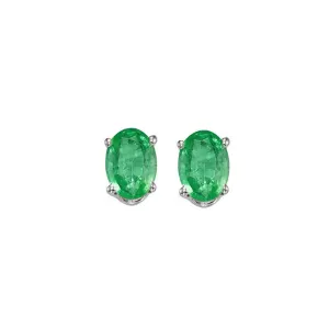 14KT White Gold Classic Book Color Fashion Earrings
