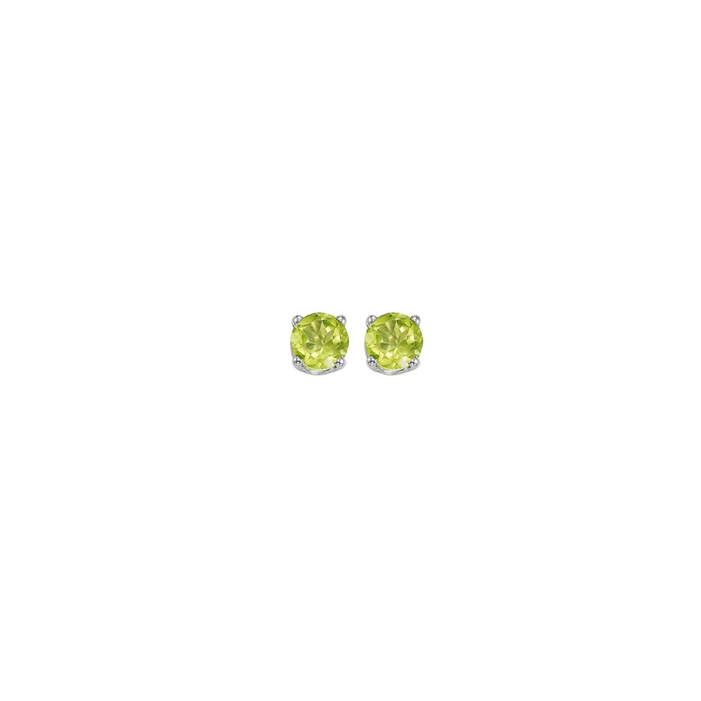14KT White Gold Classic Book Color Fashion Earrings