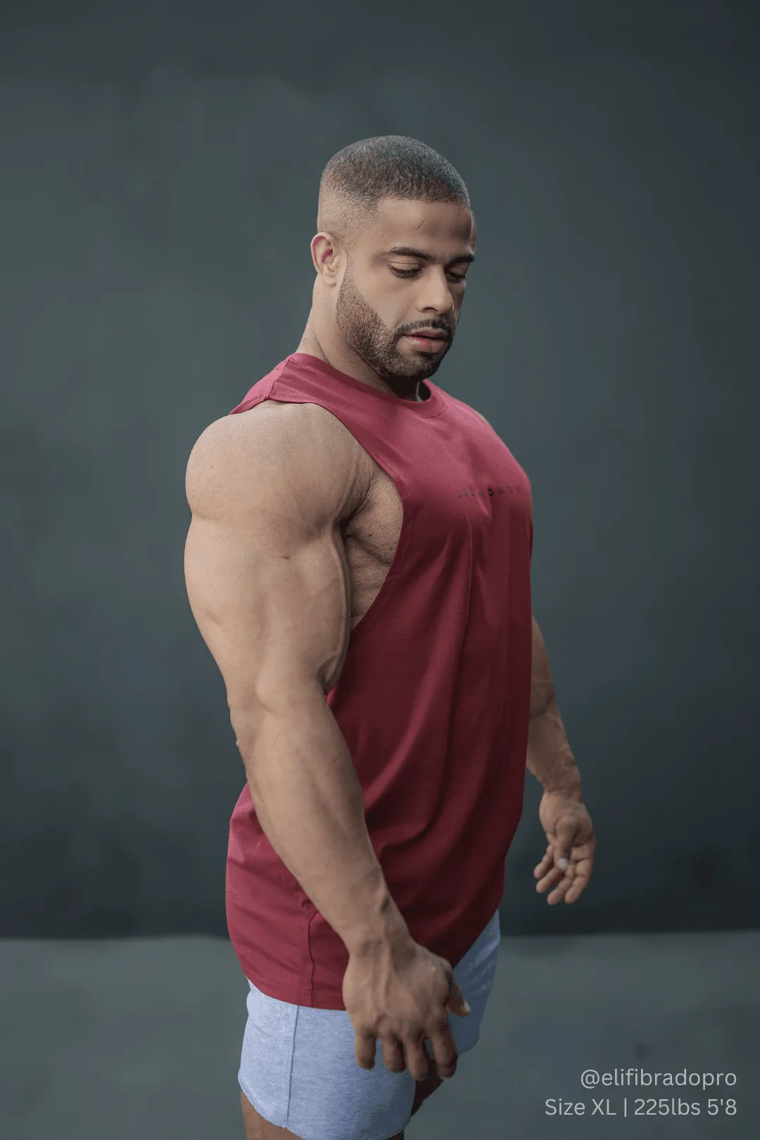 Apollo Men's Sleeveless Training Tee - Crimson Red