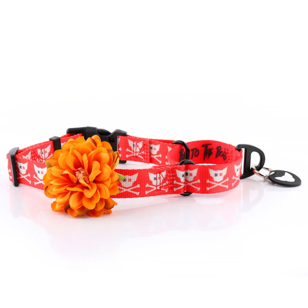 Bad Doggie Martingale Dog Collar | Training Collection | Toy Doggie Brand