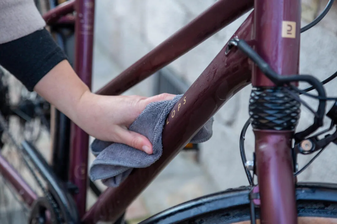Concentrated Bike Cleaner - 500 ml
