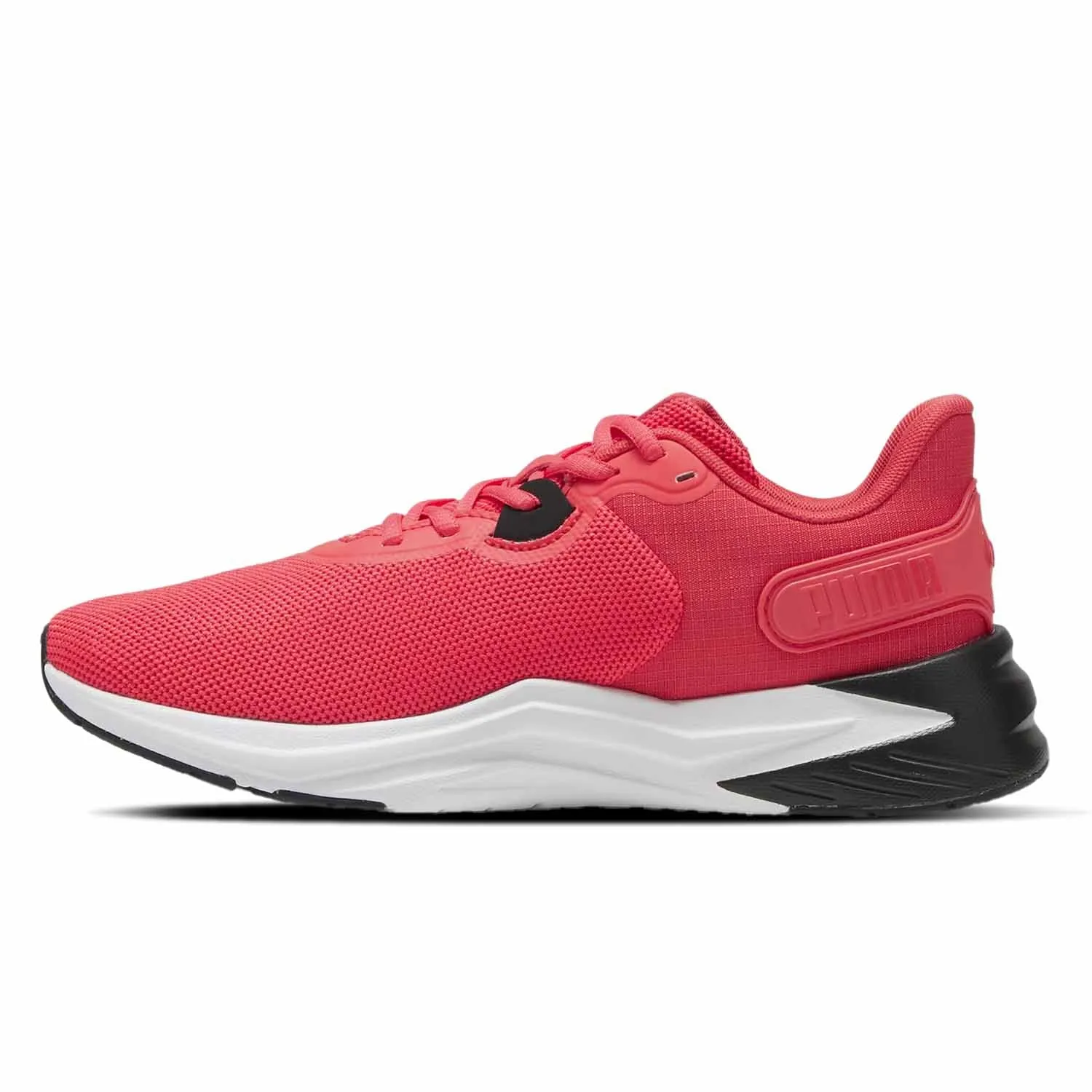 Disperse Xt 3