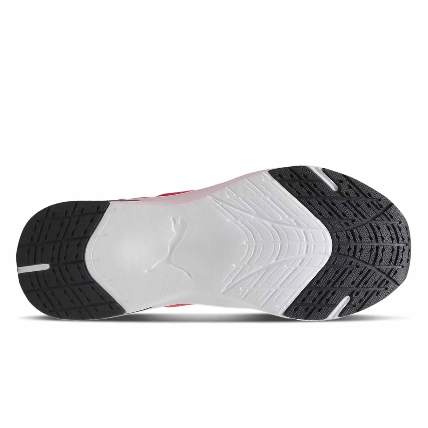 Disperse Xt 3