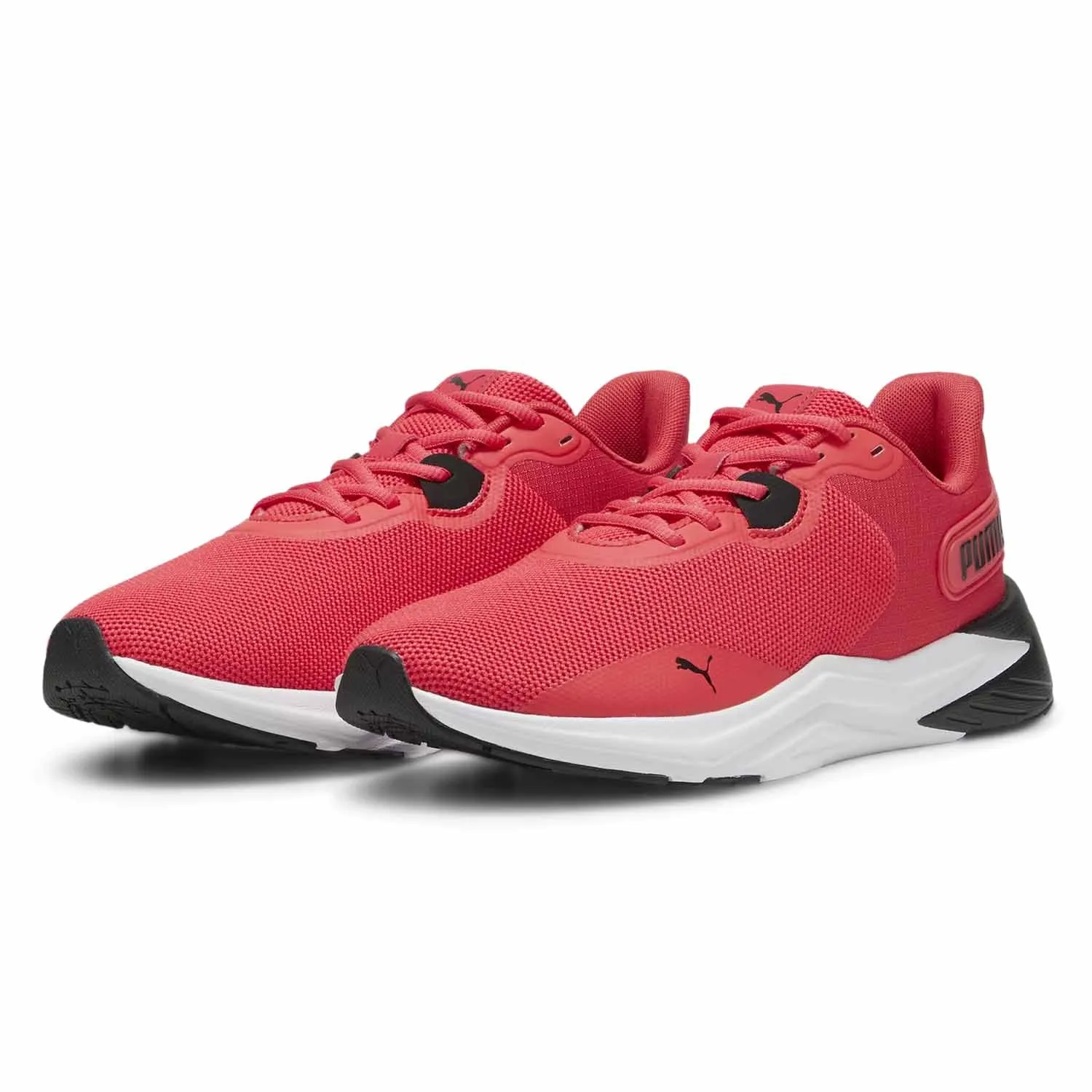 Disperse Xt 3