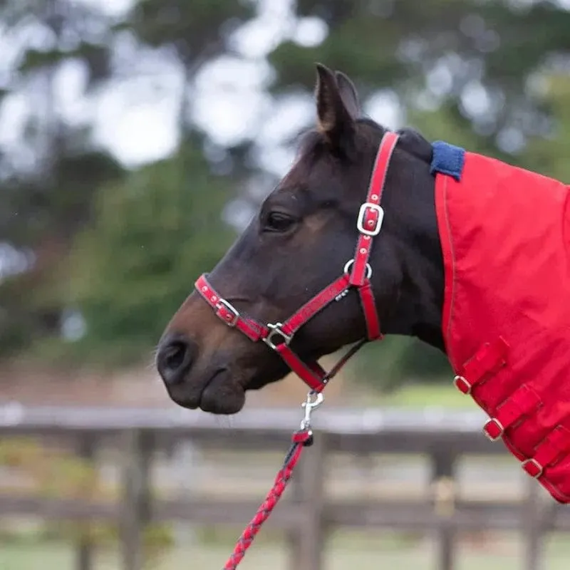 Eurohunter EMB Comfort Halter & Lead Set Charcoal & Red (EH020RCP)