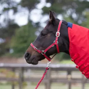 Eurohunter EMB Comfort Halter & Lead Set Charcoal & Red (EH020RCP)
