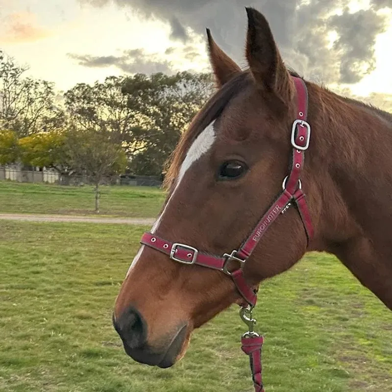 Eurohunter EMB Comfort Halter & Lead Set Charcoal & Rhubarb (EH020RBC)
