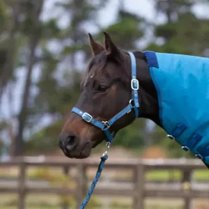 Eurohunter EMB Comfort Halter & Lead Set (EH0020BC)