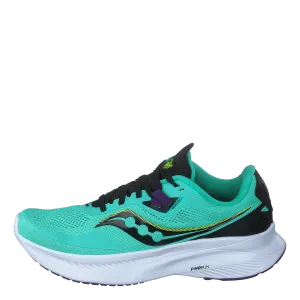 Guide 15 Cool Mint/acid
