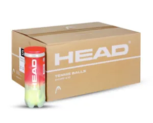 Head Championship 3 Ball Carton - 72 Ball