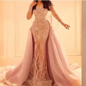 Lace Blush See Through Prom Dresses Long Sleeves Applique Evening Dresses Prom