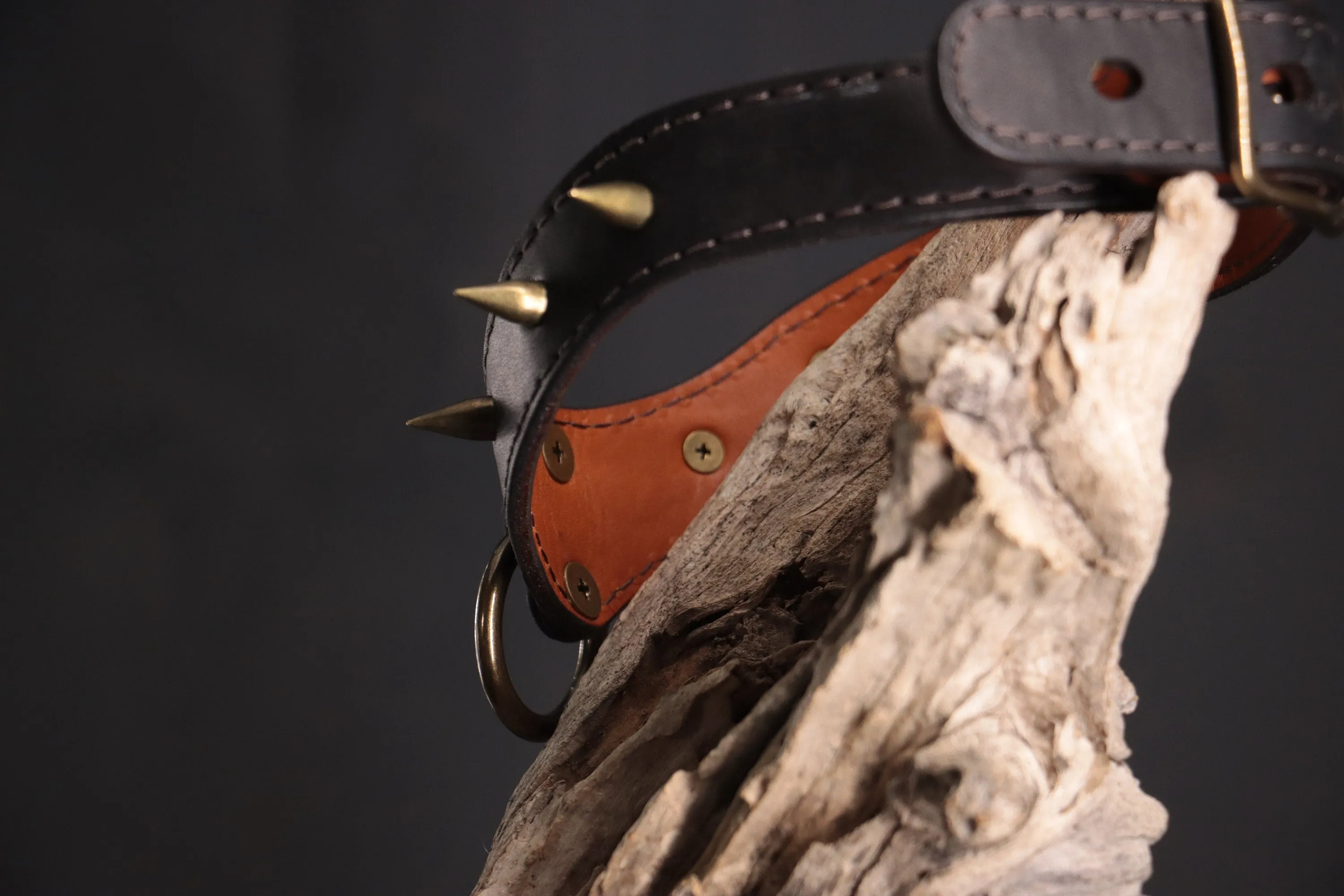 Leather BDSM Collar - Black, Cognac, & Bronze