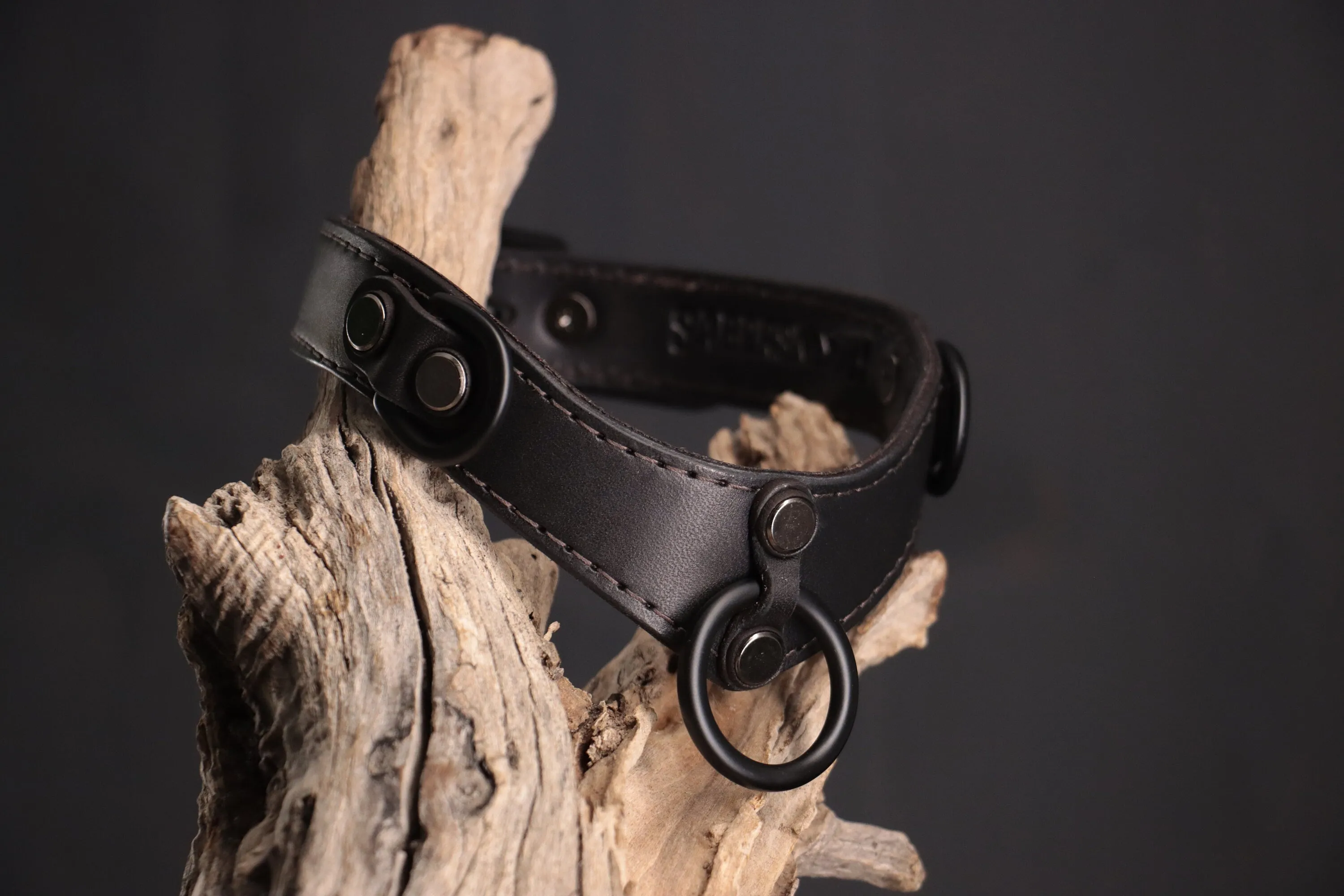 Leather BDSM Collar - Black on Black