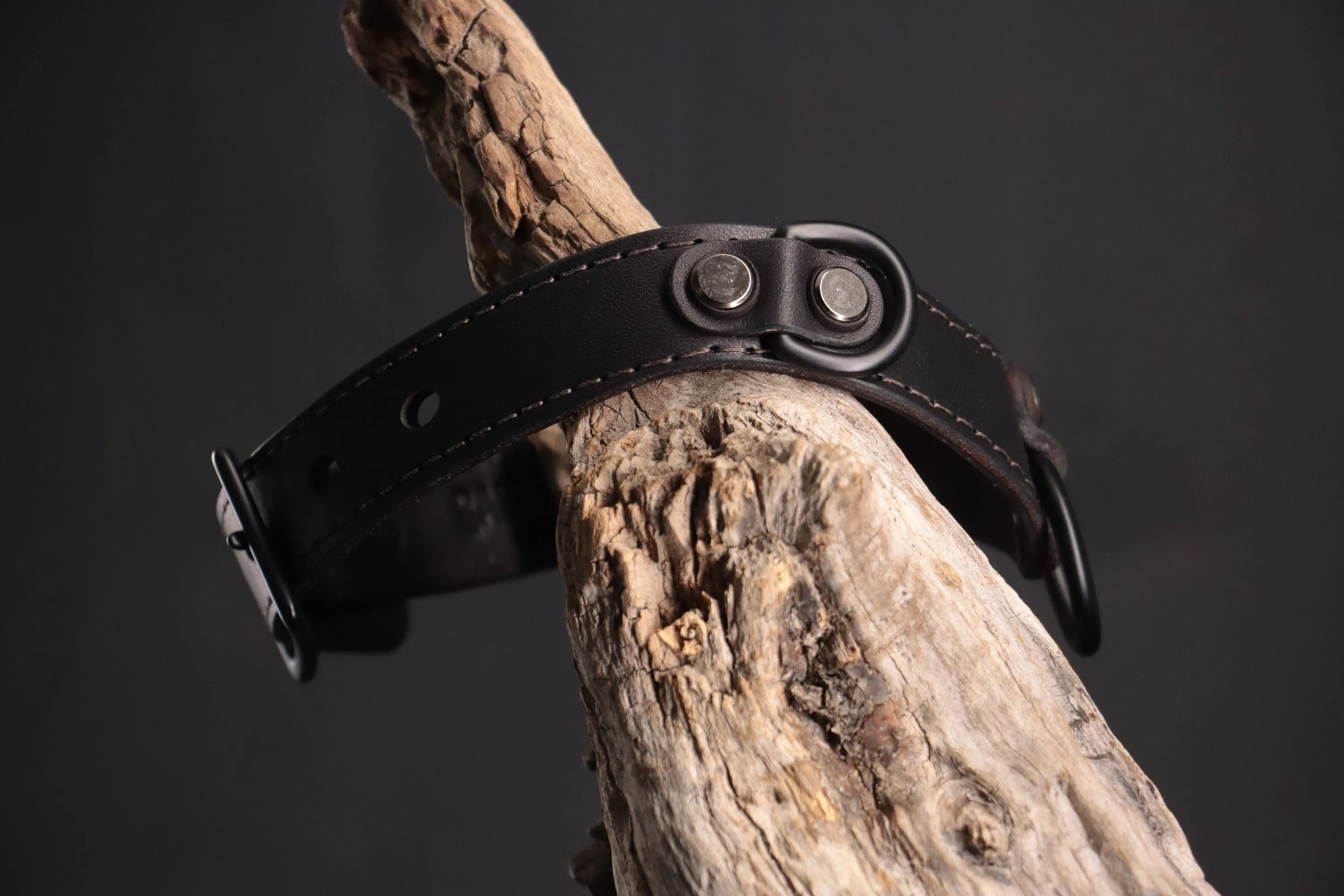 Leather BDSM Collar - Black on Black