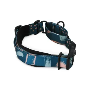 Nova Martingale Training Collar