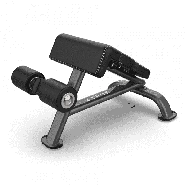 True SF-1010 Ab Bench