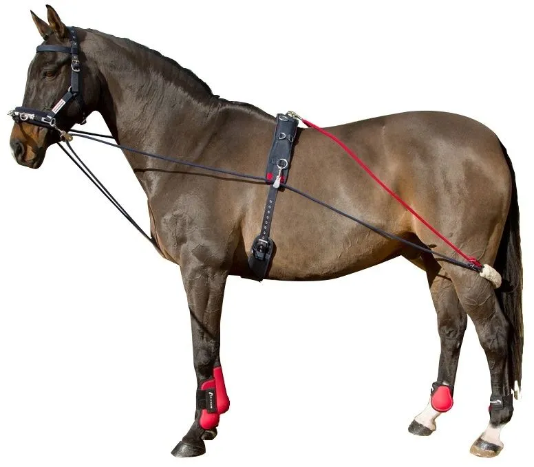 Whitaker Training System